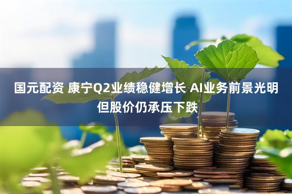 国元配资 康宁Q2业绩稳健增长 AI业务前景光明 但股价仍承压下跌