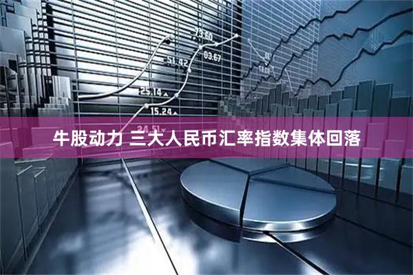 牛股动力 三大人民币汇率指数集体回落